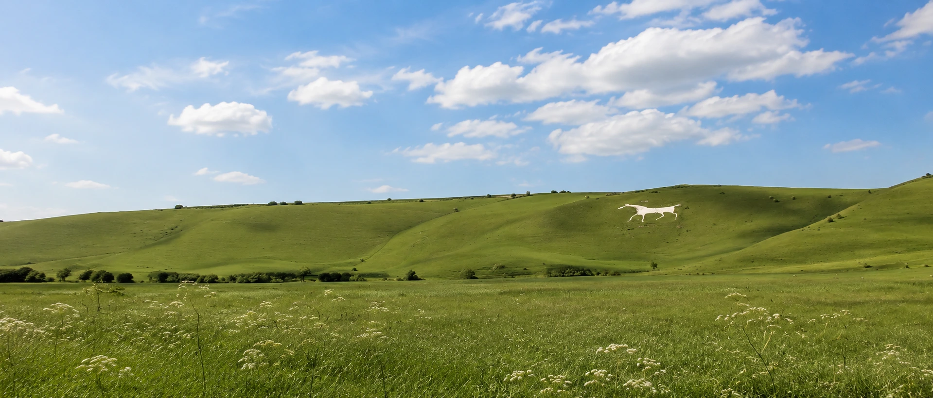 Land Surveys Wiltshire with White Horse on rolling Wiltshire plains